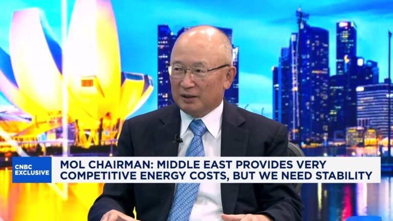 Mitsui O.S.K. Lines: 'Impossible' to resume normal service on the Strait of Hormuz