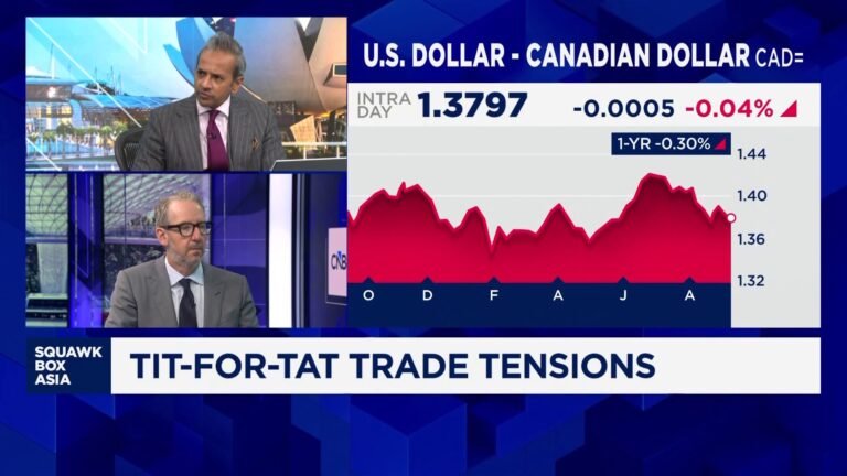 Harm done to U.S.-Canada trade, midterms could be turning point: Former Canadian Official