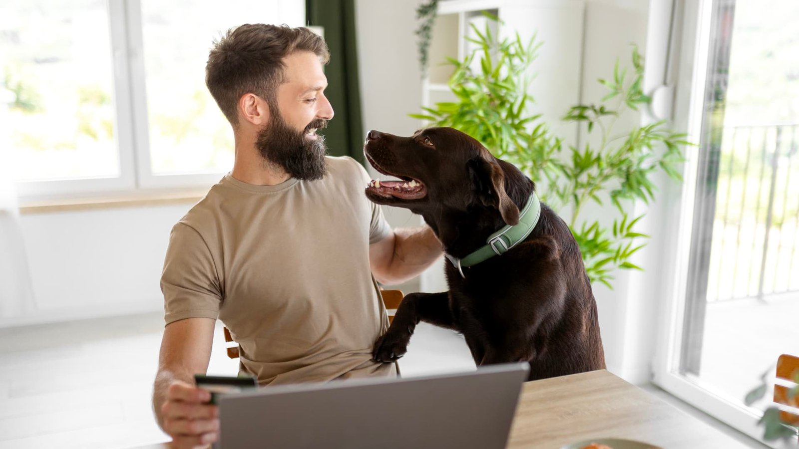 The price of pet ownership is rising. These credit cards offer perks, from complimentary pet insurance to cash back on vet visits