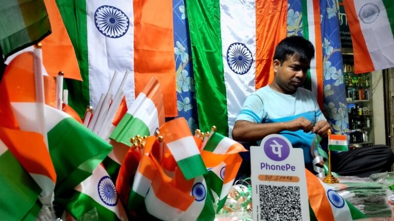 Inside India newsletter: The world’s largest real-time payments system will no longer be free for all