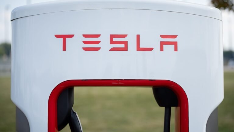Tesla makes a move on Southeast Asia's largest EV market. A homegrown giant awaits