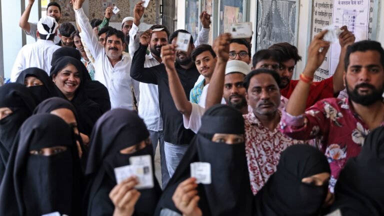 India's viral Cockroach Party calls election panel head 'biggest threat' to democracy. Here's why it matters