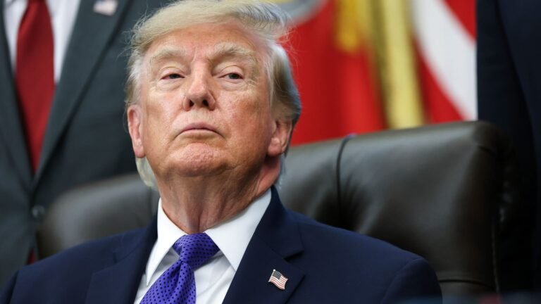 Trump's latest global tariffs face trade court challenge