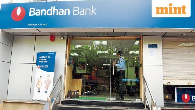 Bandhan Bank’s credit-card bet: timely move or risky detour?