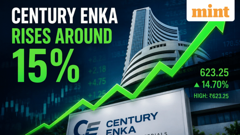 Century Enka share price: Why this Aditya Birla Group stock is up nearly 15%? What's the positive trigger?