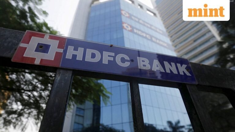 HDFC Bank’s Jagdishan paradox: Stock lagged even as domestic funds doubled down