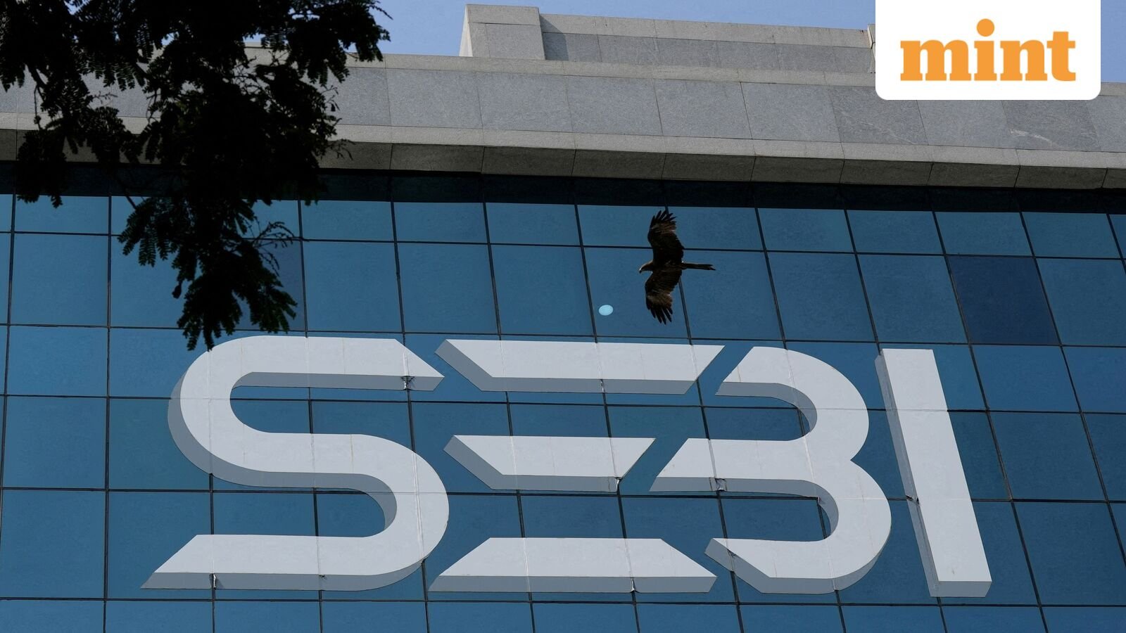 Sebi board allows FPI access in non-farm goods, approves revamp of PMS, settlement rules