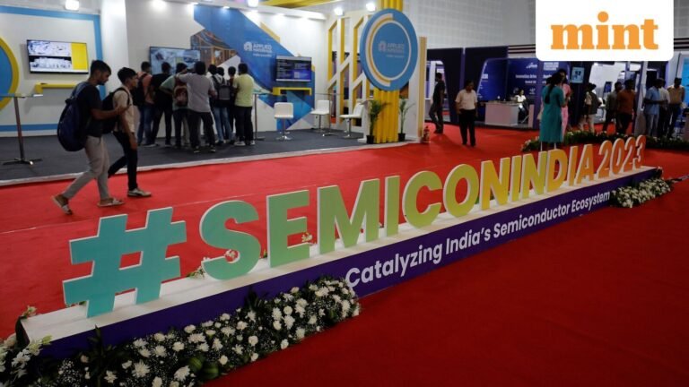 India's semiconductor boom: how to separate the wheat from the chaff