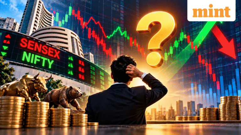 Sensex, Nifty remains volatile: Where should investors put their money? Experts decode portfolio allocation