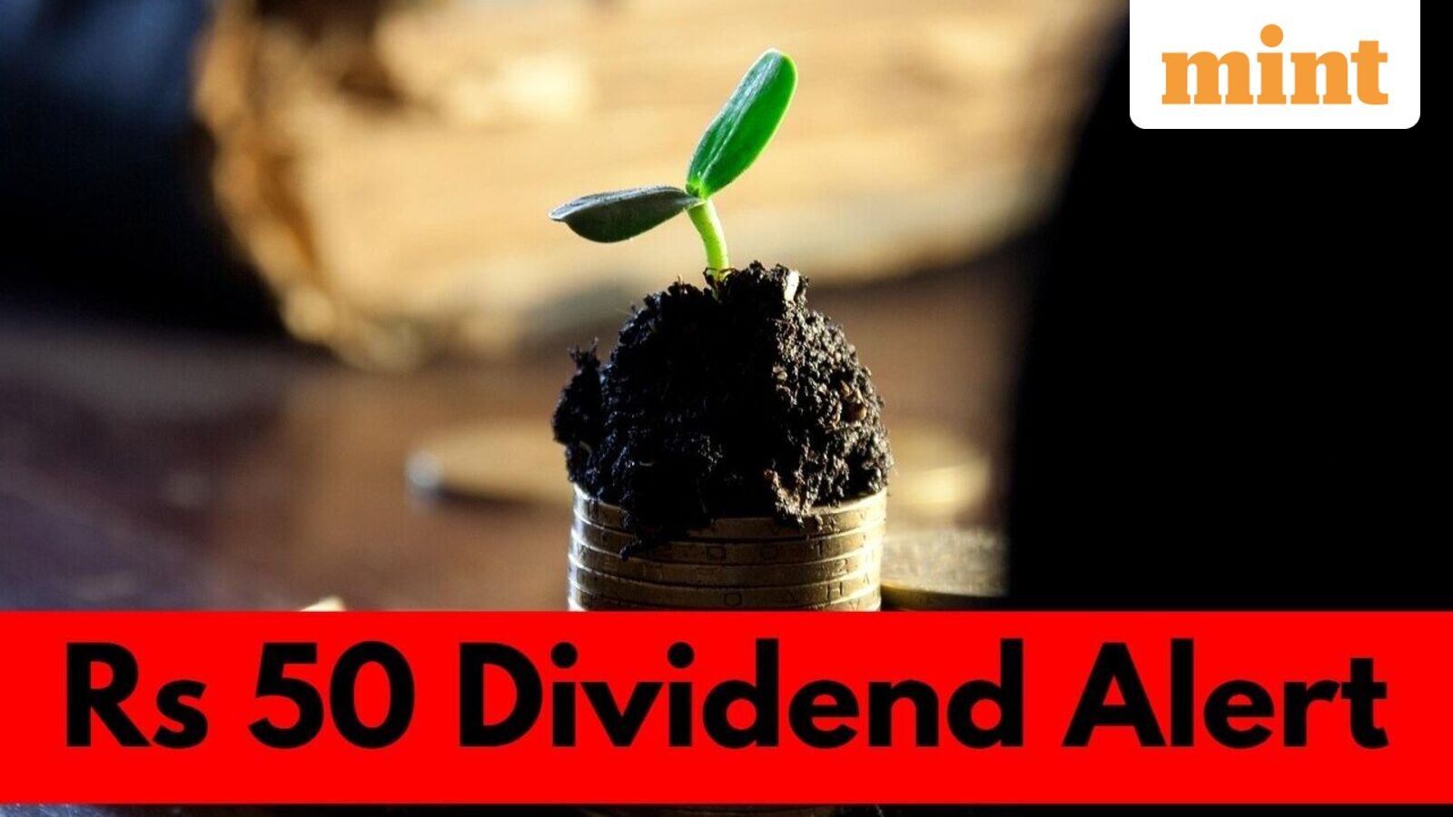 This company is giving  ₹50 as stock dividend - Check last date to buy, record date, dividend yield, share performance