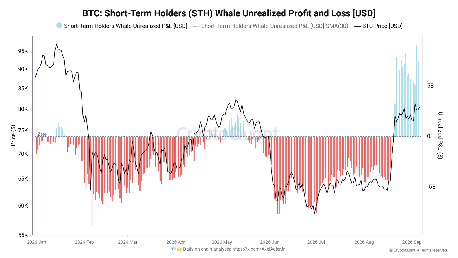 Bitcoin Short-Term Holder Whales Sit on Record $9 Billion Unrealized Gains