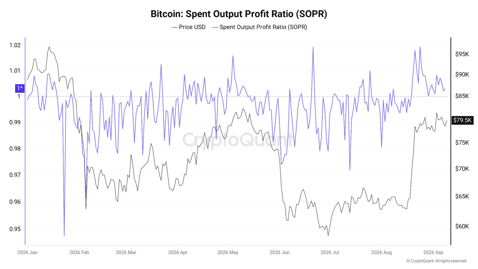 Bitcoin SOPR Metric’s Longest 2026 Winning Streak Enters Fourth Week