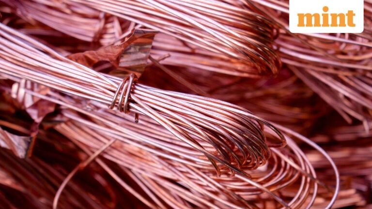 Hindustan Copper future roadmap: Where is the company headed?