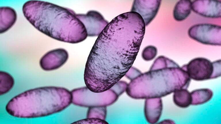 Russia plague: What we know about the suspected case reportedly linked to a lab worker’s death