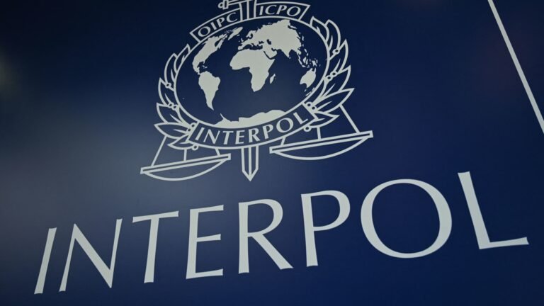 INTERPOL says AI is increasing the speed and scale of cyber threats. Here’s what companies should watch