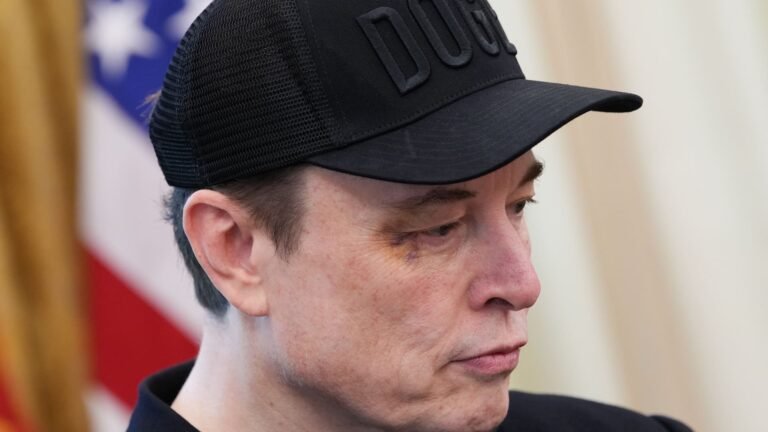 Judge says Musk engaged in intimidation of ex-FEMA CFO Mary Comans, clears her name