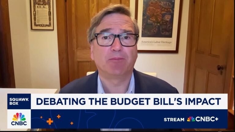 'Big beautiful bill' concerns are the dramatic cuts to Medicaid, social safety net: Harvard's Furman