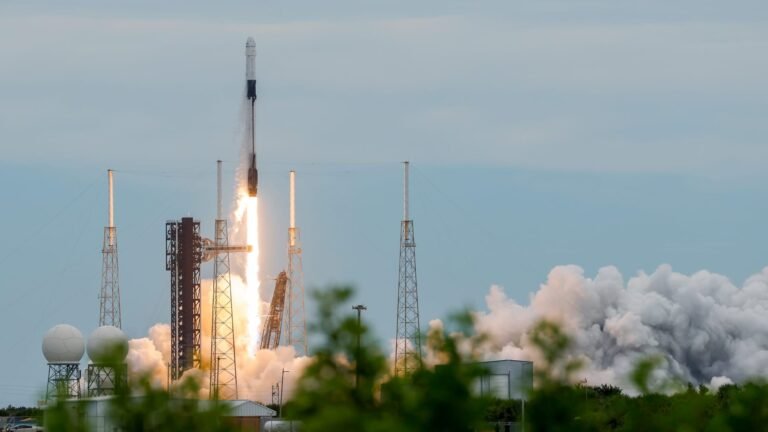 Buy SpaceX ahead of earnings, says Evercore ISI