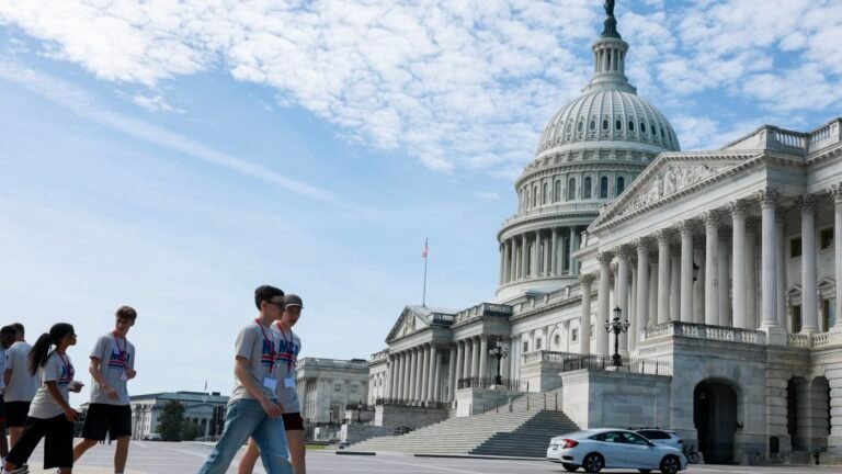 These stocks could benefit from a midterm election shake-up, JPMorgan says