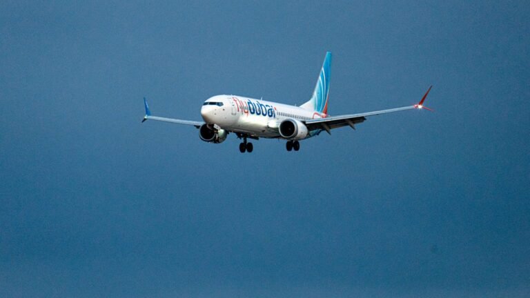 Flydubai co-pilot attacked pilot with axe, attempted 'terrorist' attack, UAE says