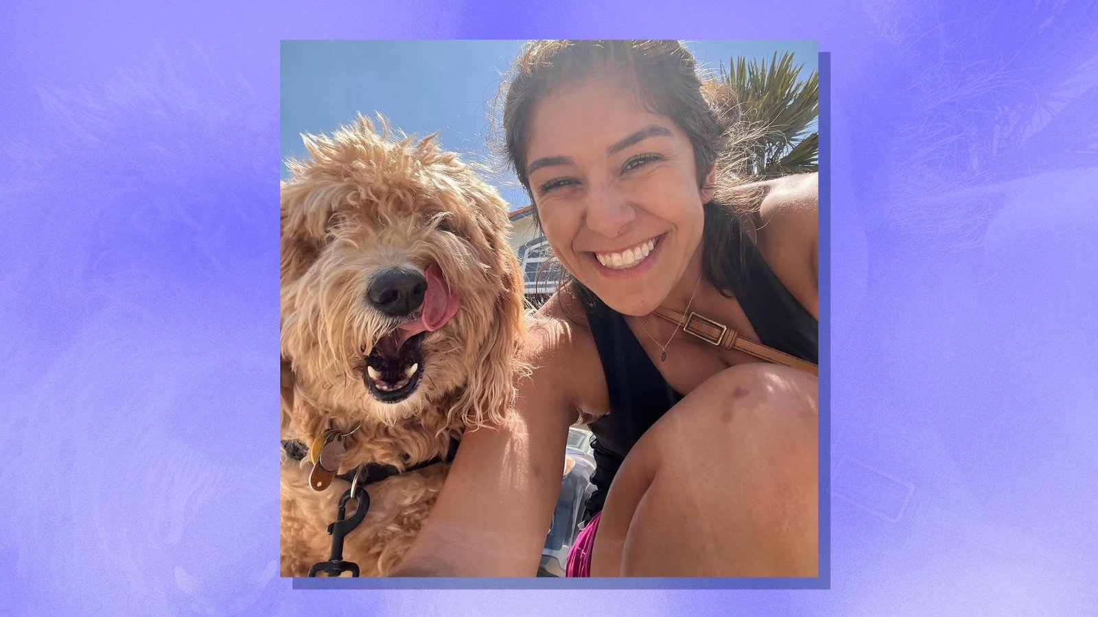I quit my marketing job to walk dogs for 4 months: It's 'one of the most valuable professional experiences I've ever had'