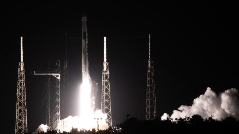 SpaceX is ripping higher after strong earnings. Analysts see more gains ahead