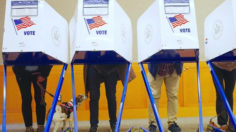 FEC campaign finance system offline days before midterms after hackers reportedly target site
