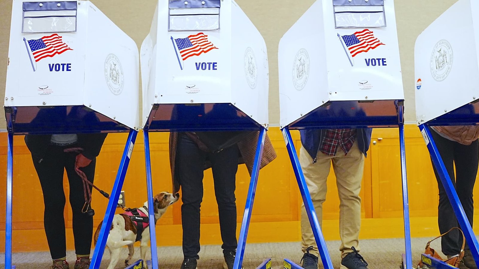 FEC campaign finance system offline days before midterms after hackers reportedly target site