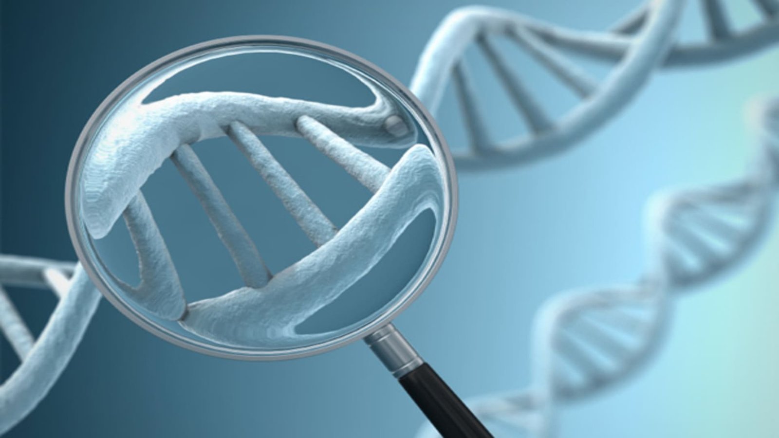JPMorgan says this biotech stock can more than double following steep declines