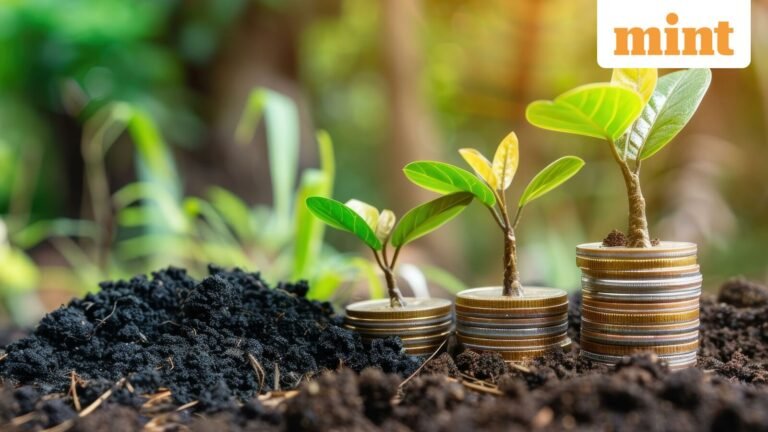 Weak equity returns may test India’s SIP momentum