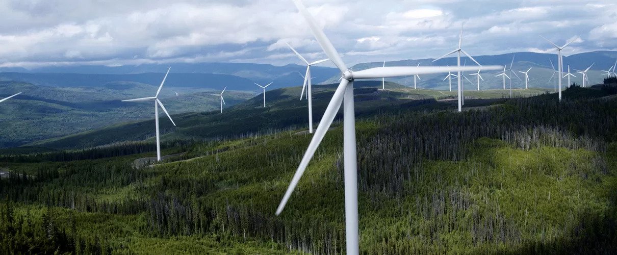 Pentagon clears wind projects as Trump courts votes for energy permitting bill