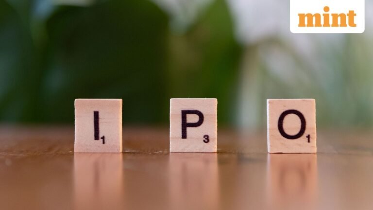 New-age firms seek to reallocate IPO proceeds for better returns